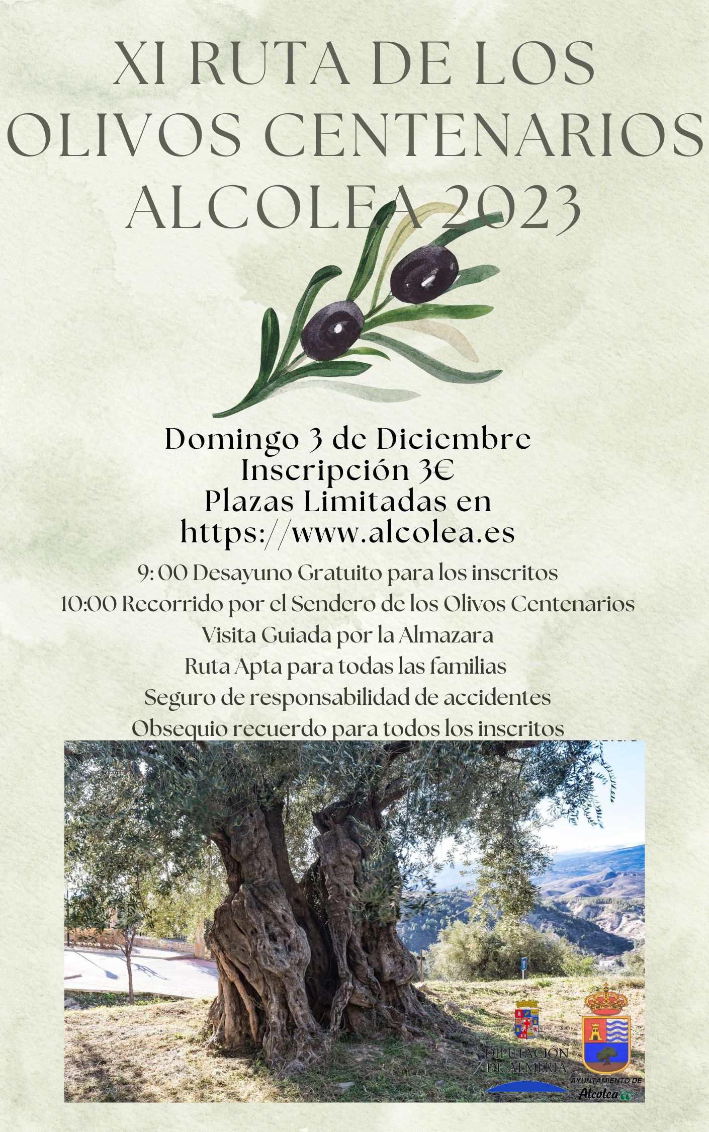 XI RUTA DE LOS OLIVOS CENTENARIOS ALCOLEA 2023